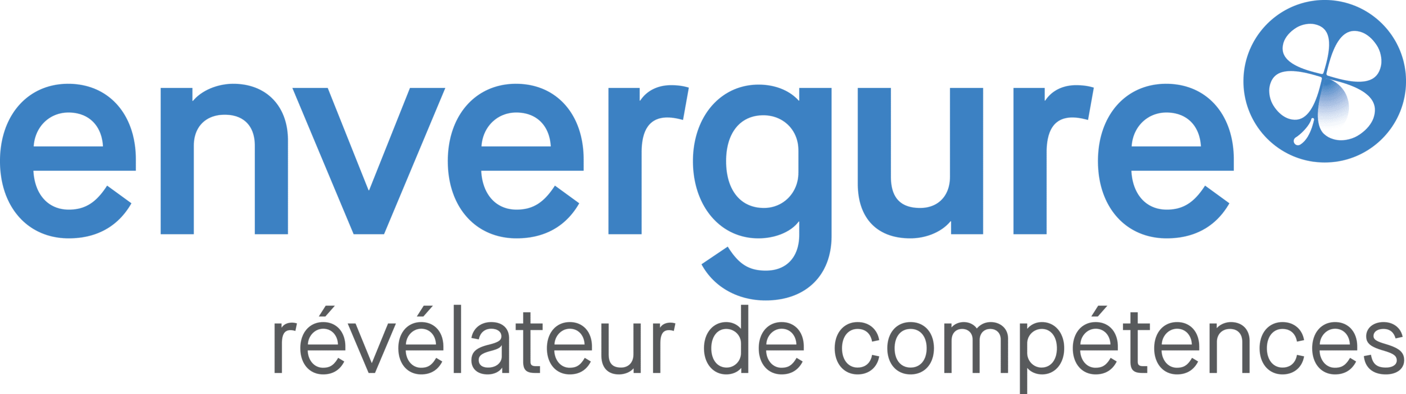 Envergure